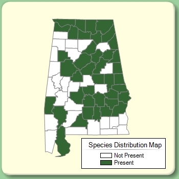 Species Distribution Map