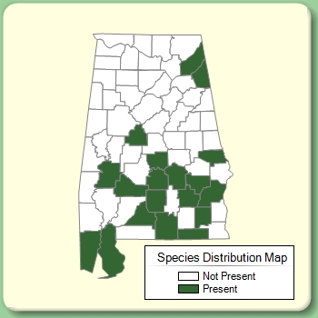 Species Distribution Map