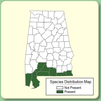 Species Distribution Map