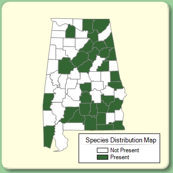 Species Distribution Map