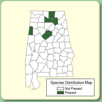 Species Distribution Map