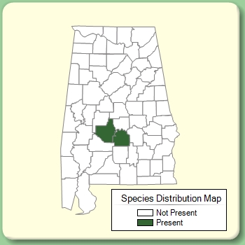 Species Distribution Map