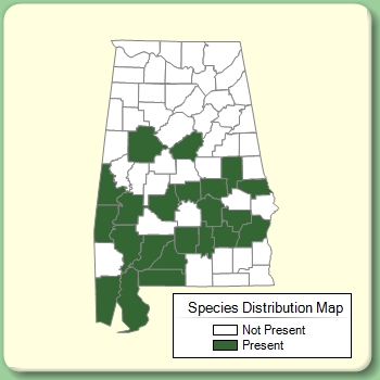 Species Distribution Map