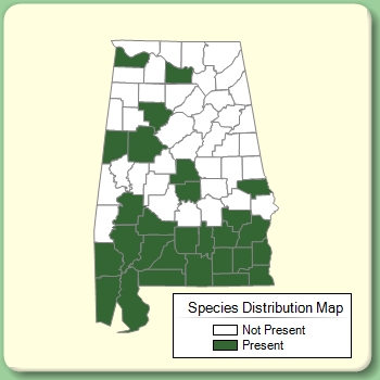 Species Distribution Map