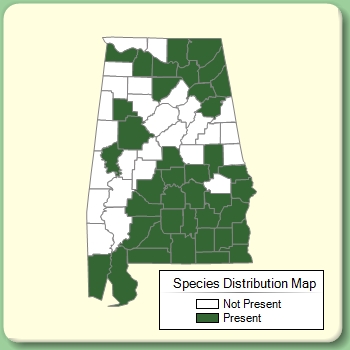 Species Distribution Map