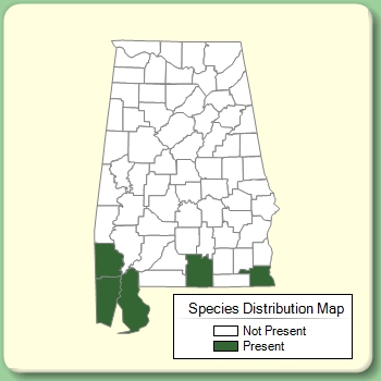 Species Distribution Map