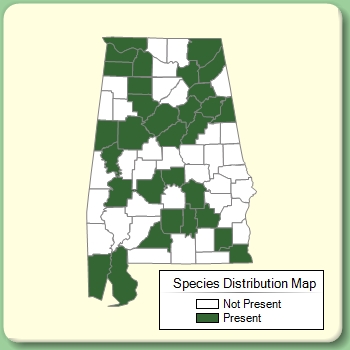 Species Distribution Map