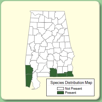 Species Distribution Map