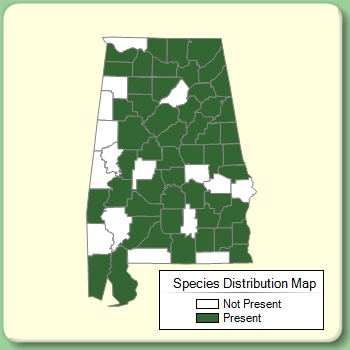 Species Distribution Map