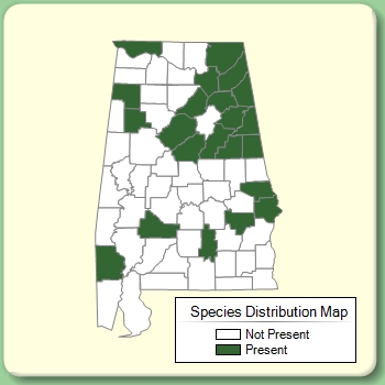 Species Distribution Map