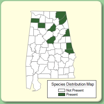 Species Distribution Map