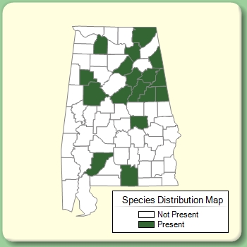 Species Distribution Map