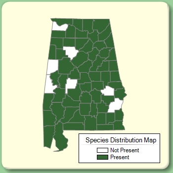 Species Distribution Map