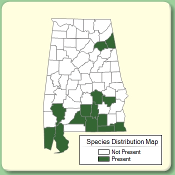 Species Distribution Map