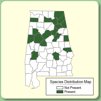 Species Distribution Map