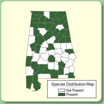 Species Distribution Map