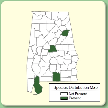 Species Distribution Map