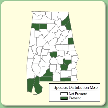 Species Distribution Map