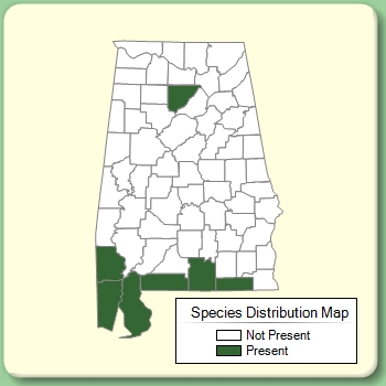 Species Distribution Map