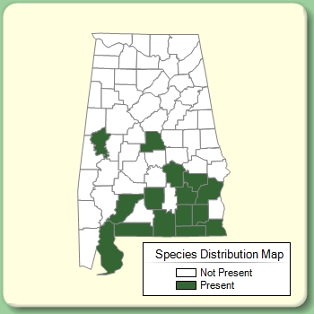 Species Distribution Map