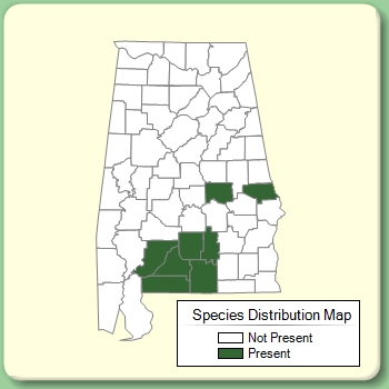 Species Distribution Map