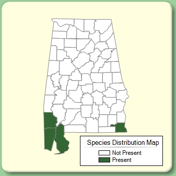 Species Distribution Map