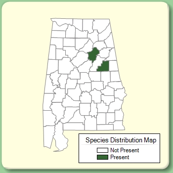 Species Distribution Map