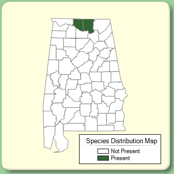 Species Distribution Map