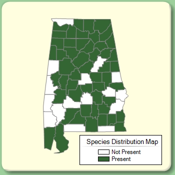 Species Distribution Map