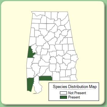 Species Distribution Map