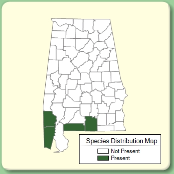 Species Distribution Map