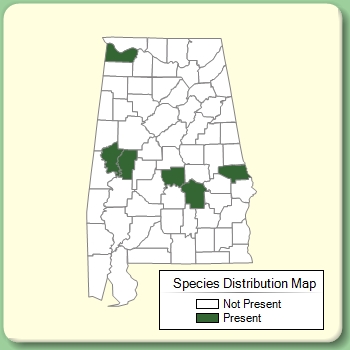 Species Distribution Map