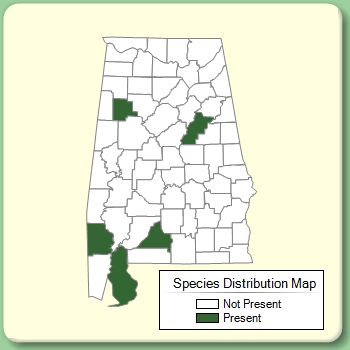 Species Distribution Map