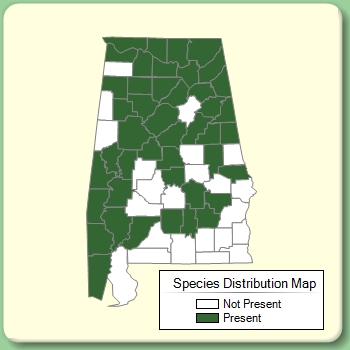 Species Distribution Map