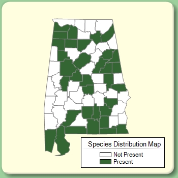 Species Distribution Map