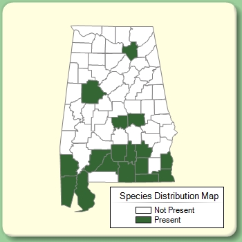 Species Distribution Map