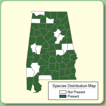 Species Distribution Map