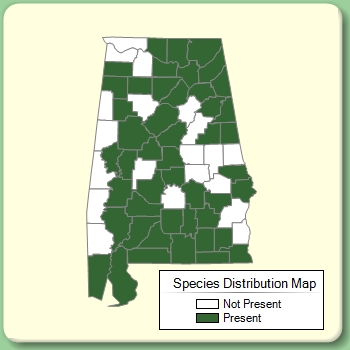 Species Distribution Map