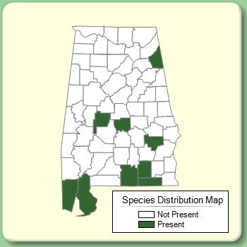 Species Distribution Map