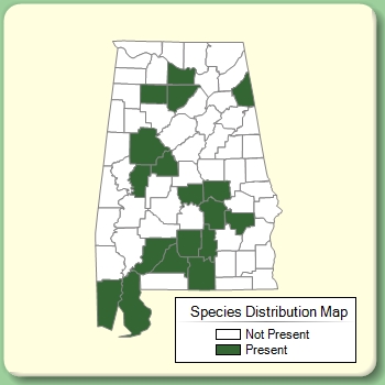 Species Distribution Map