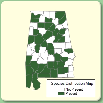 Species Distribution Map