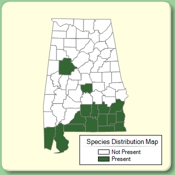 Species Distribution Map