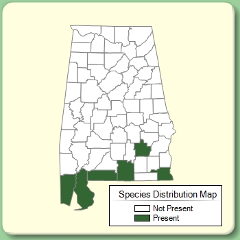 Species Distribution Map