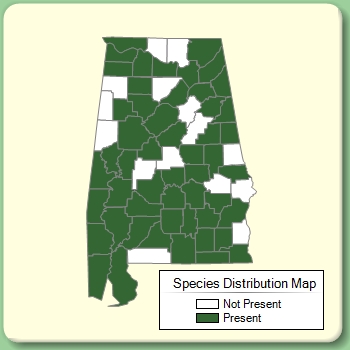 Species Distribution Map