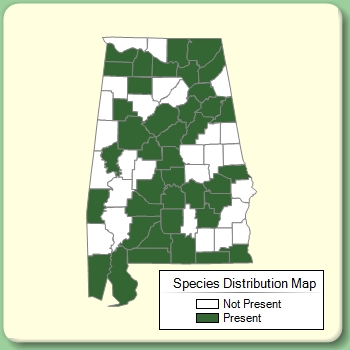 Species Distribution Map