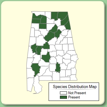 Species Distribution Map