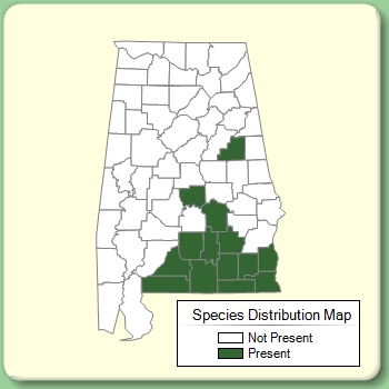 Species Distribution Map