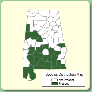 Species Distribution Map