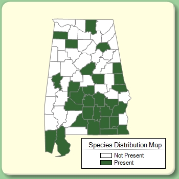 Species Distribution Map