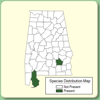 Species Distribution Map